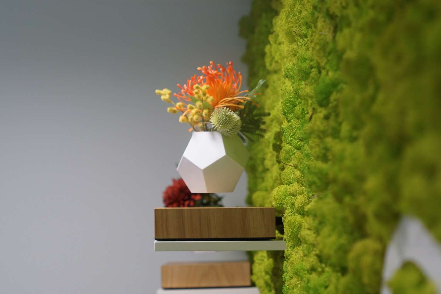 ambiance cabinet dentaire