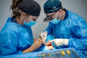 dentiste-parcours-chirurgie-01 dentiste-parcours-chirurgie-01